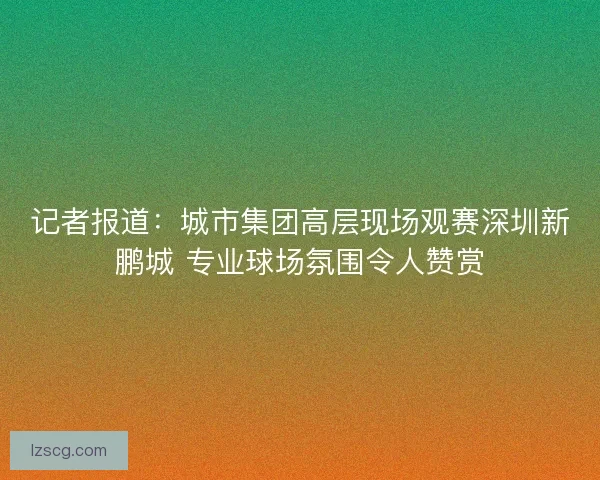 记者报道：城市集团高层现场观赛深圳新鹏城 专业球场氛围令人赞赏